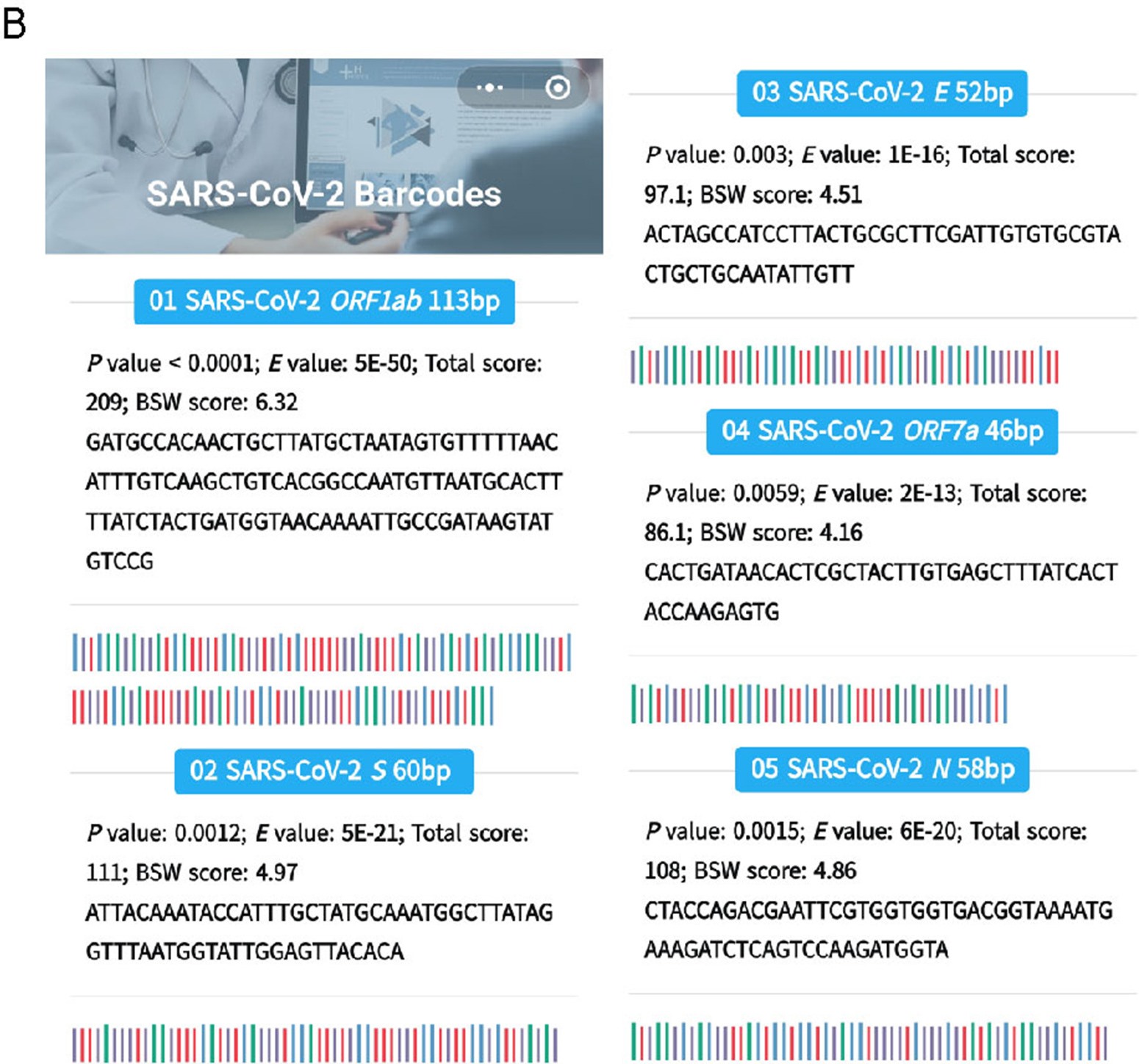 RNA barcode segments for SARS-CoV-2 identification from HCoVs and SARSr-CoV-2 lineages