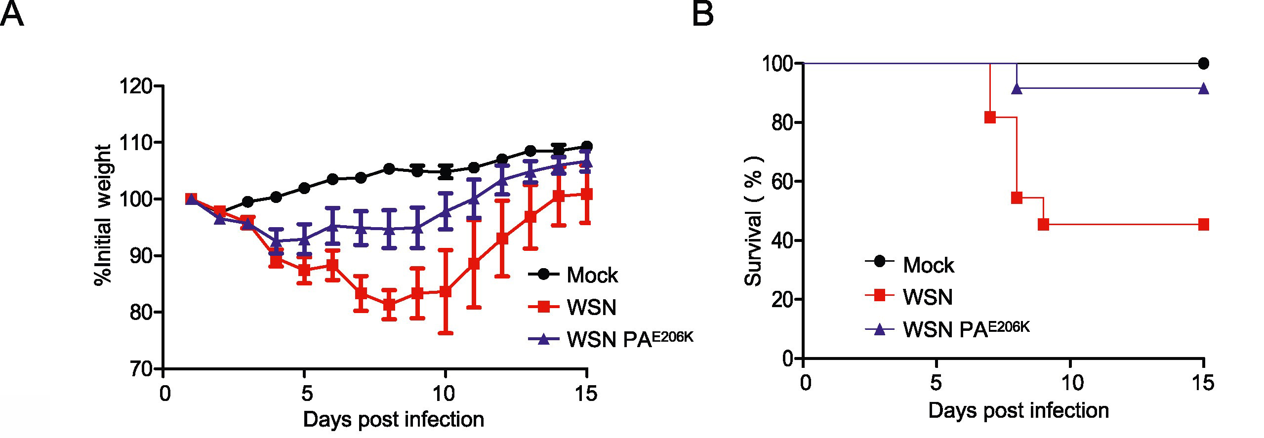 Naturally occurring PA<sup>E206K</sup> point mutation in 2009 H1N1 pandemic influenza viruses impairs viral replication at high temperatures