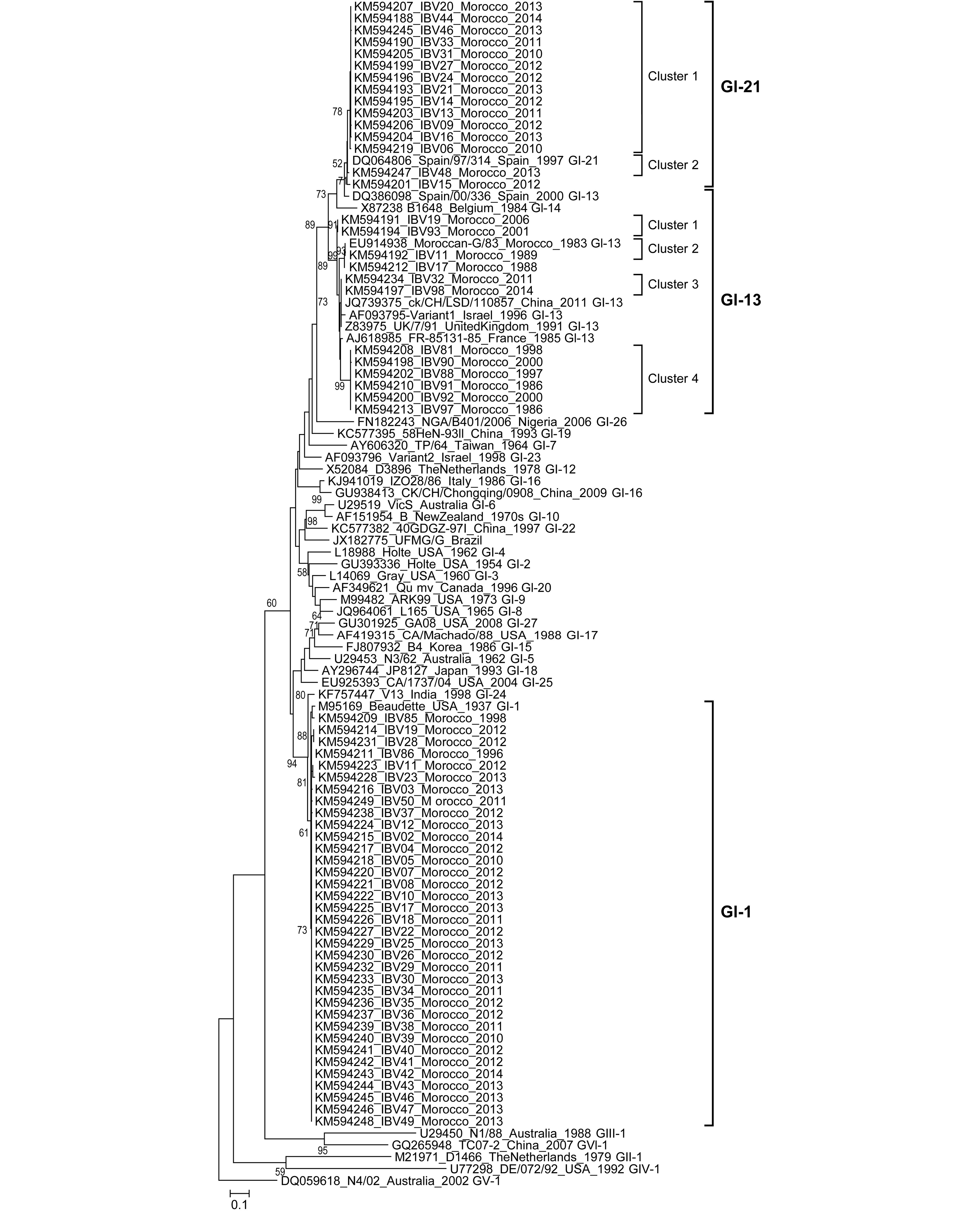 Phylogenetic analysis of avian infectious bronchitis virus isolates ...