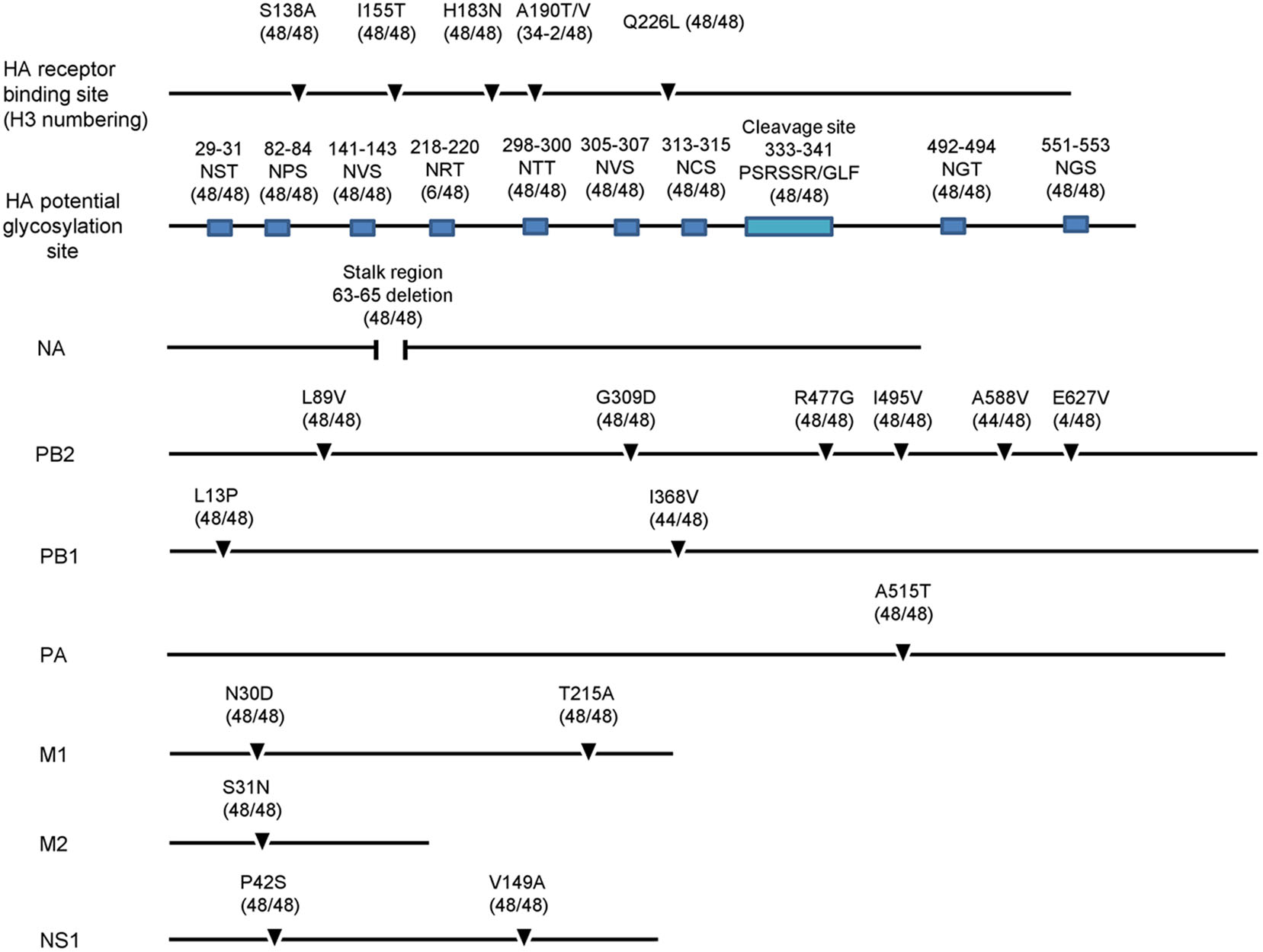 Genetic and Molecular Characterization of H9N2 Avian Influenza 