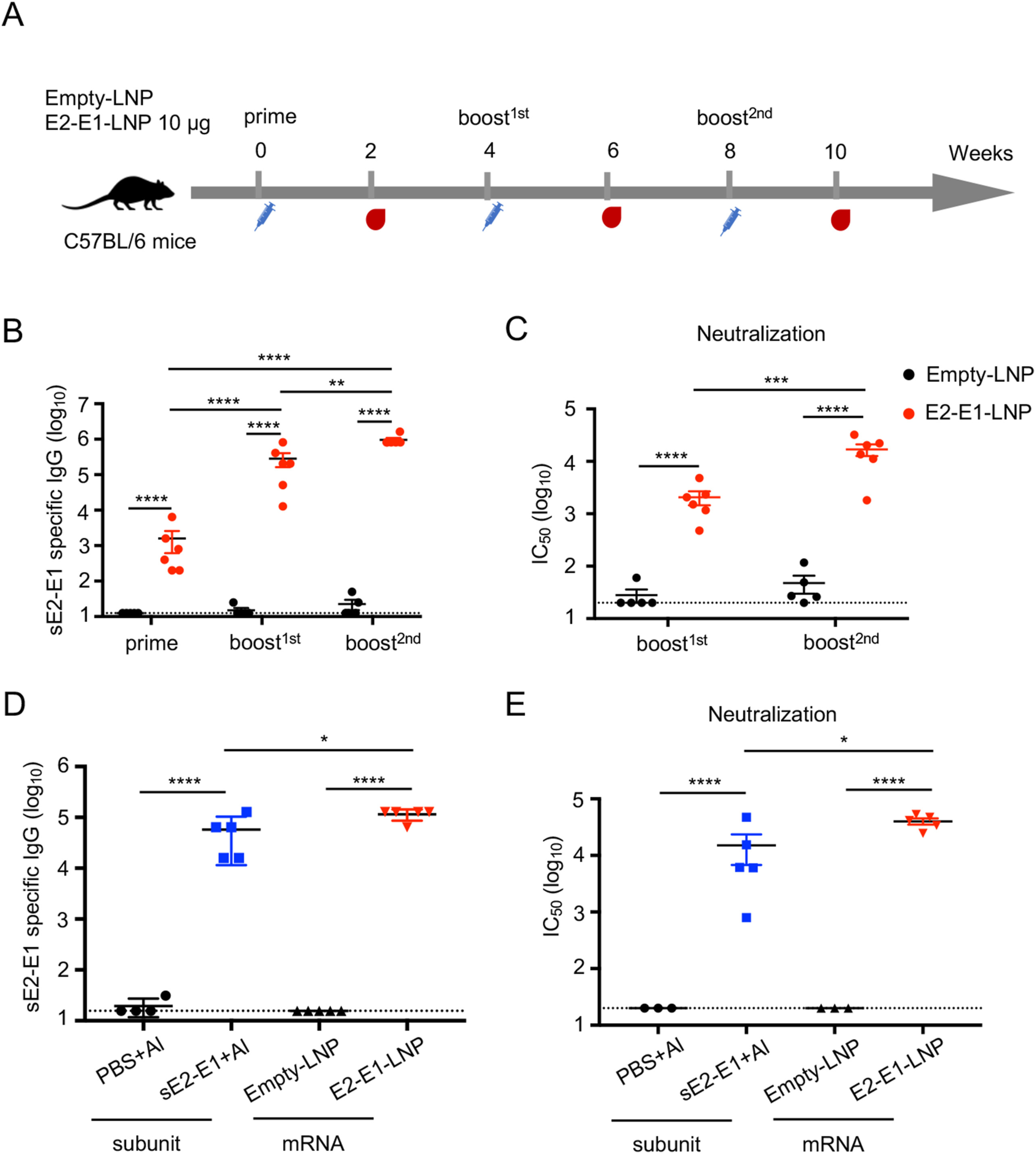 An mRNA vaccine encoding Chikungunya virus E2-E1 protein elicits robust neutralizing antibody responses and CTL immune responses