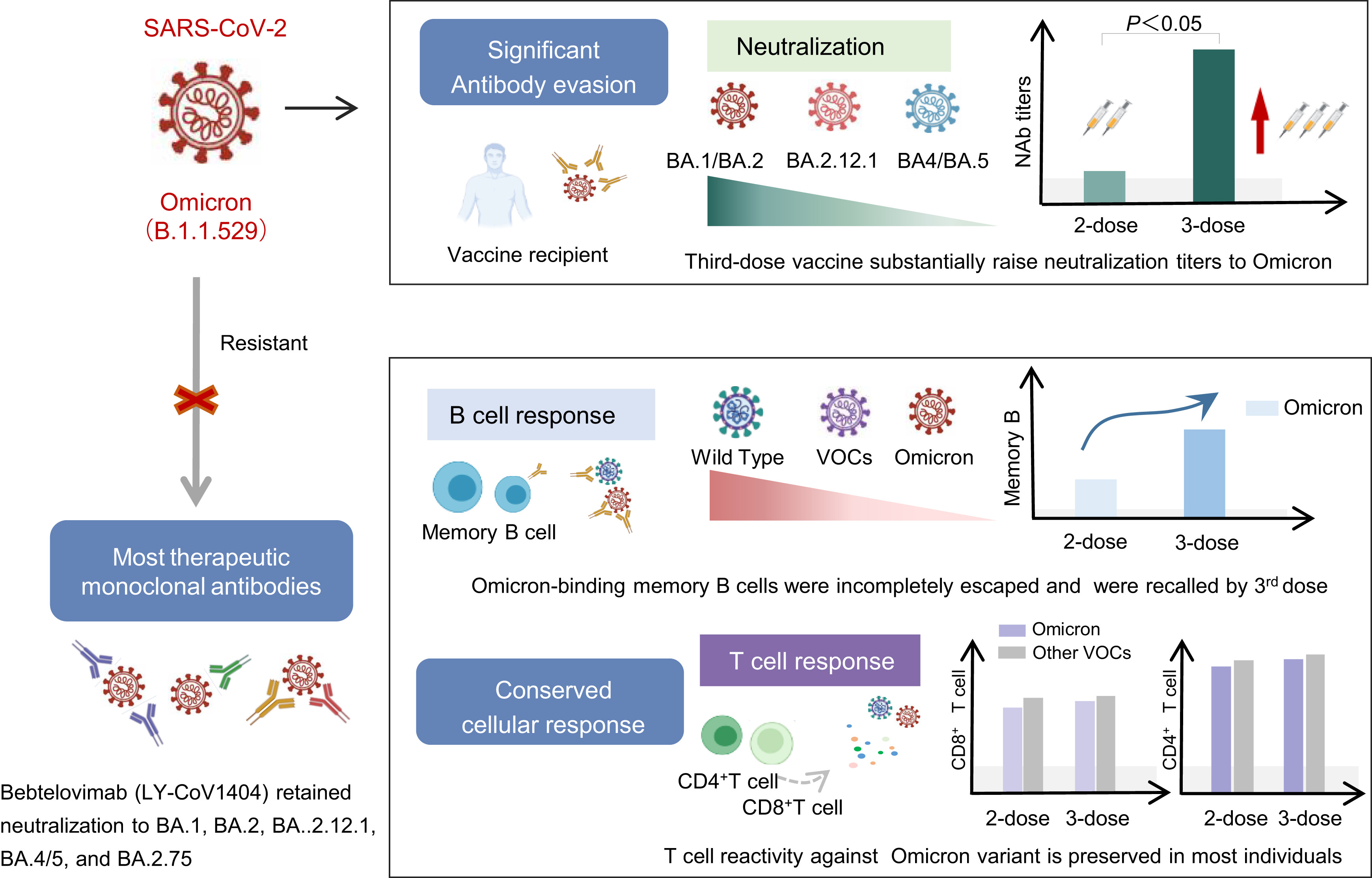 The humoral and cellular immune evasion of SARS-CoV-2 Omicron and sub-lineages