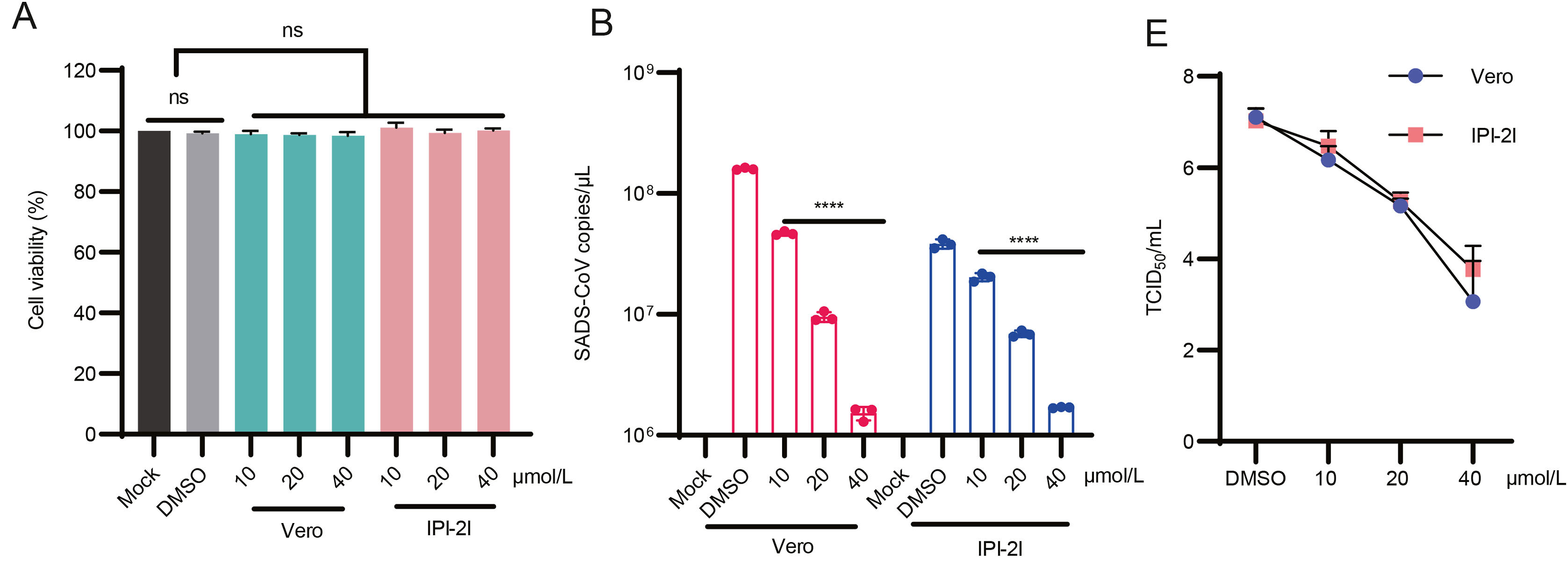 Identification of a receptor tyrosine kinase inhibitor CP-724714 inhibits SADS-CoV related swine diarrhea coronaviruses infection <i>in vitro</i>